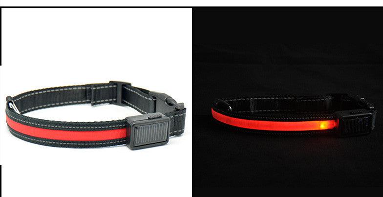 Solarpup Led Reflective Collar: Keep Your Furry Friend Safe And Stylish! - Premium Paws