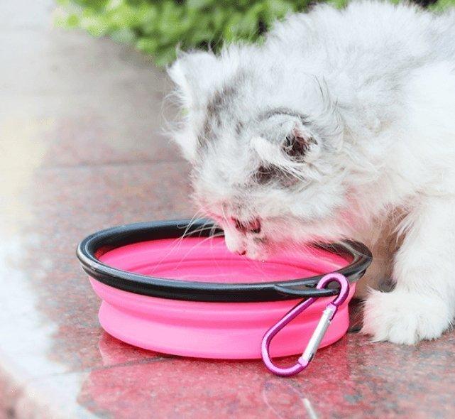 2 In 1Pet Water Bottle Dispenser Travel Portable Dog Cat Drinking Silicone Bowl - Premium Paws