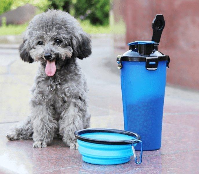 2 In 1Pet Water Bottle Dispenser Travel Portable Dog Cat Drinking Silicone Bowl - Premium Paws