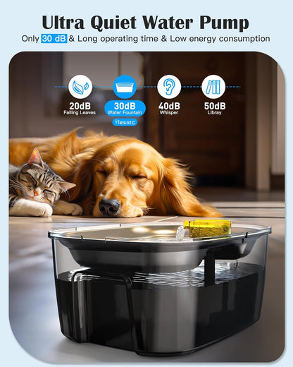 2.6 Gallon Stainless Steel Dog Water Fountain for Large Dogs & Multi Pets - Premium Paws