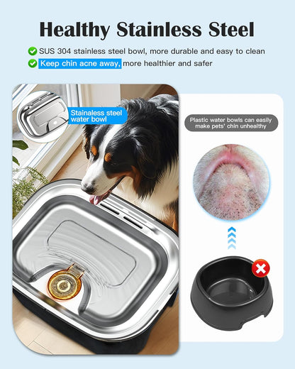 2.6 Gallon Stainless Steel Dog Water Fountain for Large Dogs & Multi Pets - Premium Paws