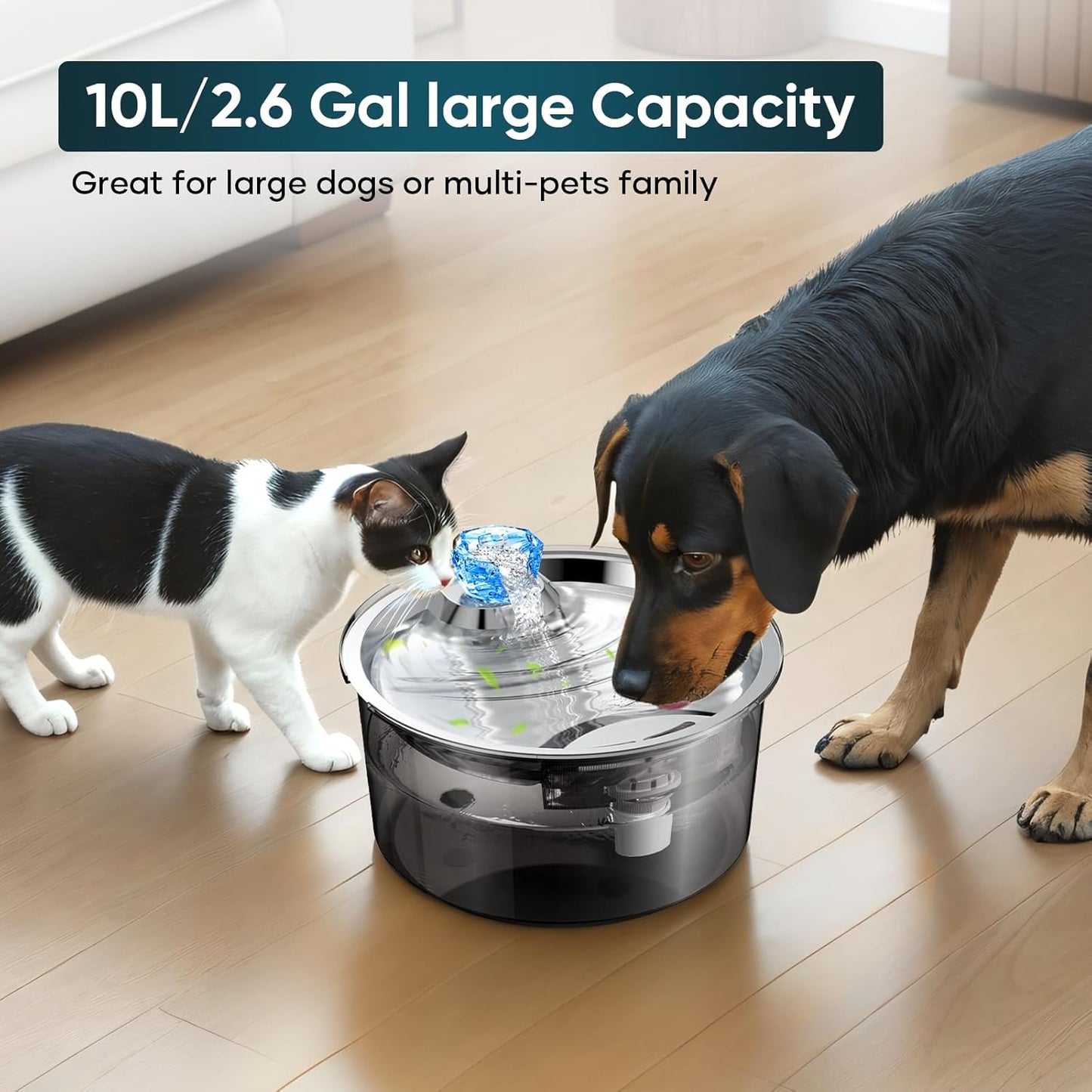 2.6Gal/10L Dog Water Fountain for Dogs & Cats & Multiple Pets - Premium Paws