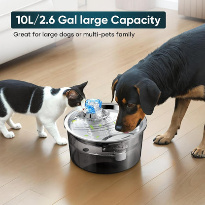 2.6Gal/10L Dog Water Fountain for Dogs & Cats & Multiple Pets - Premium Paws