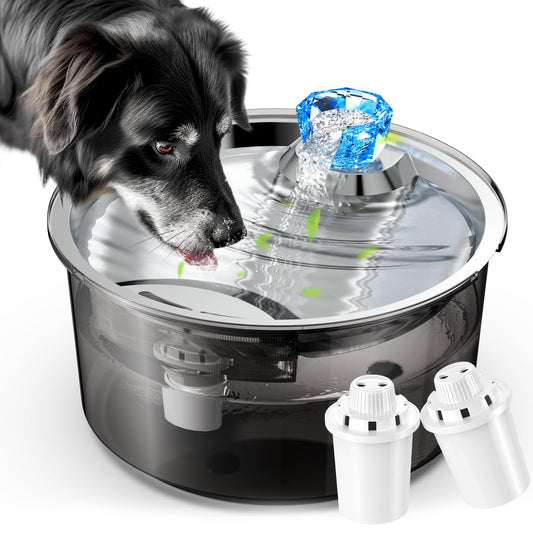 2.6Gal/10L Dog Water Fountain for Dogs & Cats & Multiple Pets - Premium Paws