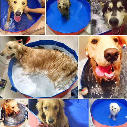 Aquapaws - Premium Paws
