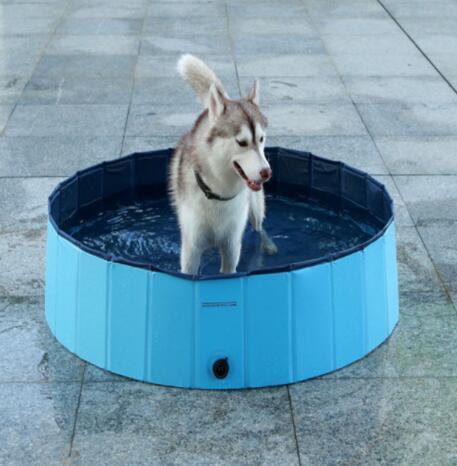 Aquapaws - Premium Paws