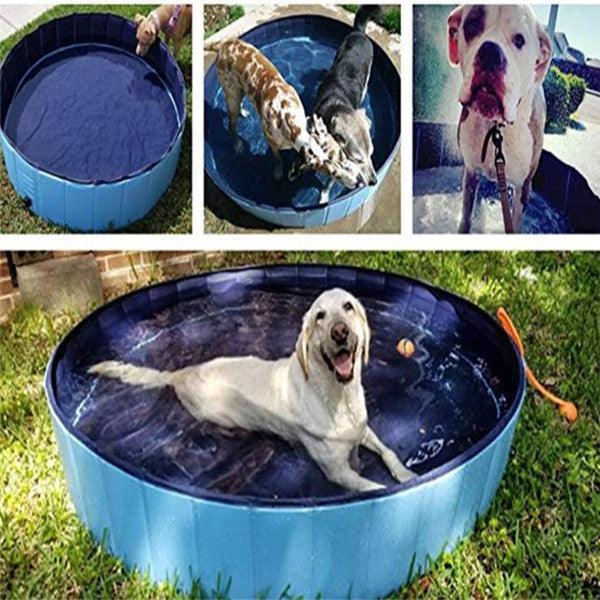 Aquapaws - Premium Paws