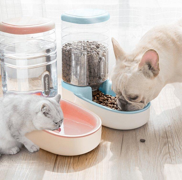 Automatic Pet Feeder And Drinking Fountain Combo - Premium Paws