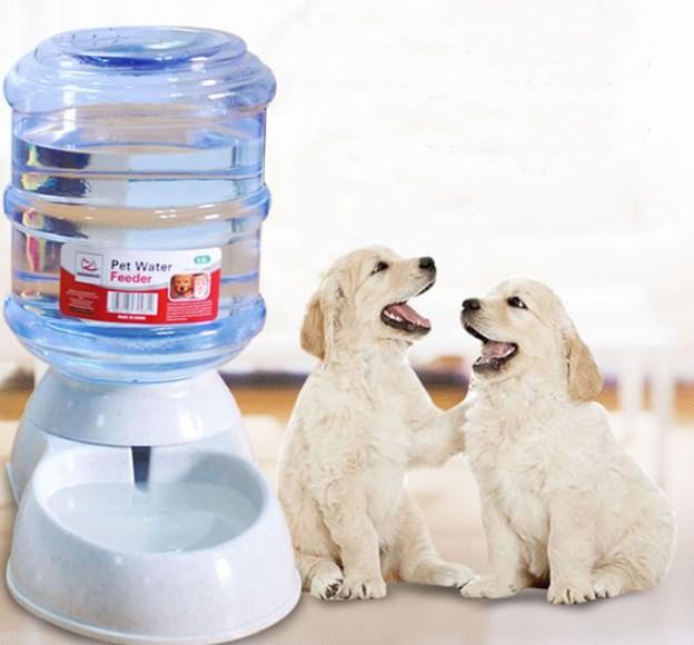Automatic Pet Feeder & Water Fountain Combo - Large Capacity, Eco - Friendly Design - Premium Paws