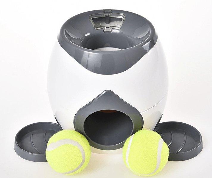 Automatic Pet Training And Feeding System - Premium Paws