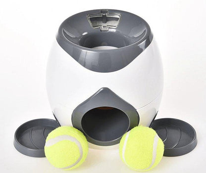 Automatic Pet Training And Feeding System - Premium Paws