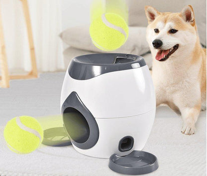 Automatic Pet Training And Feeding System - Premium Paws