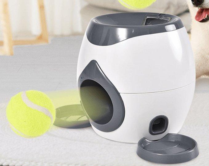 Automatic Pet Training And Feeding System - Premium Paws
