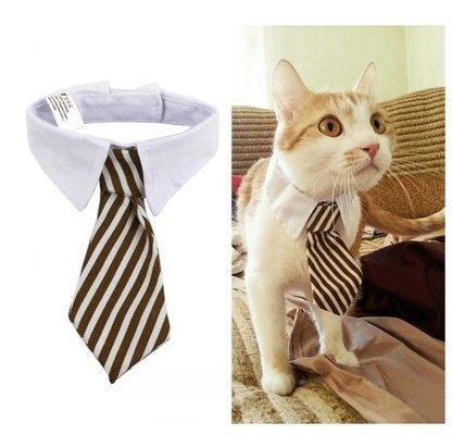 Cartoon Print Pet Bow Tie Set - Wholesale Dog And Baby Tie Collection - Premium Paws