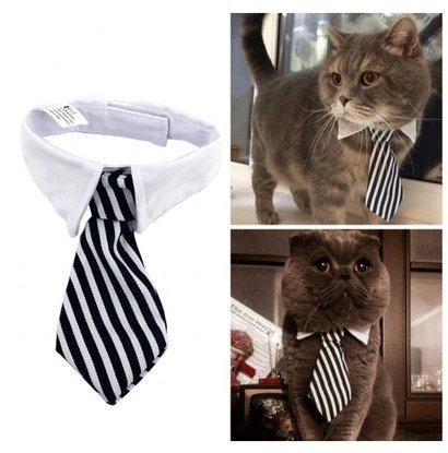 Cartoon Print Pet Bow Tie Set - Wholesale Dog And Baby Tie Collection - Premium Paws