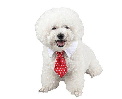 Cartoon Print Pet Bow Tie Set - Wholesale Dog And Baby Tie Collection - Premium Paws