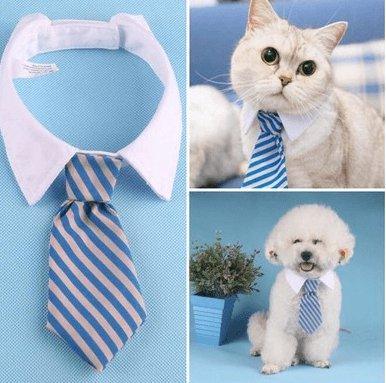 Cartoon Print Pet Bow Tie Set - Wholesale Dog And Baby Tie Collection - Premium Paws