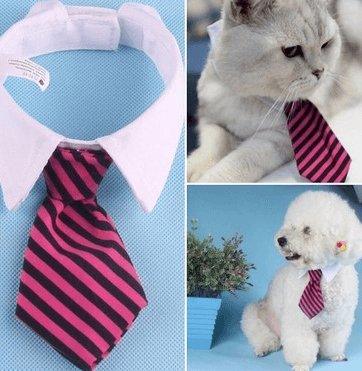 Cartoon Print Pet Bow Tie Set - Wholesale Dog And Baby Tie Collection - Premium Paws