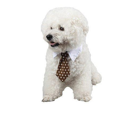 Cartoon Print Pet Bow Tie Set - Wholesale Dog And Baby Tie Collection - Premium Paws