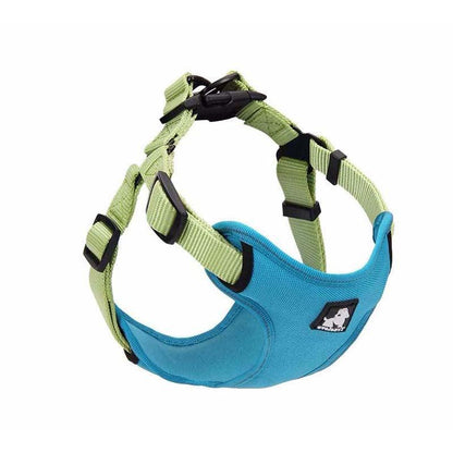Comfortmesh Dog Leash Collar: Convenient And Stylish Walking Companion For Dogs Of All Sizes - Premium Paws