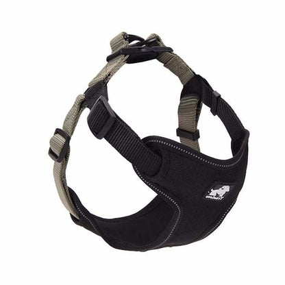 Comfortmesh Dog Leash Collar: Convenient And Stylish Walking Companion For Dogs Of All Sizes - Premium Paws