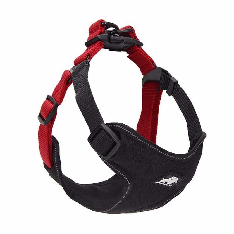 Comfortmesh Dog Leash Collar: Convenient And Stylish Walking Companion For Dogs Of All Sizes - Premium Paws