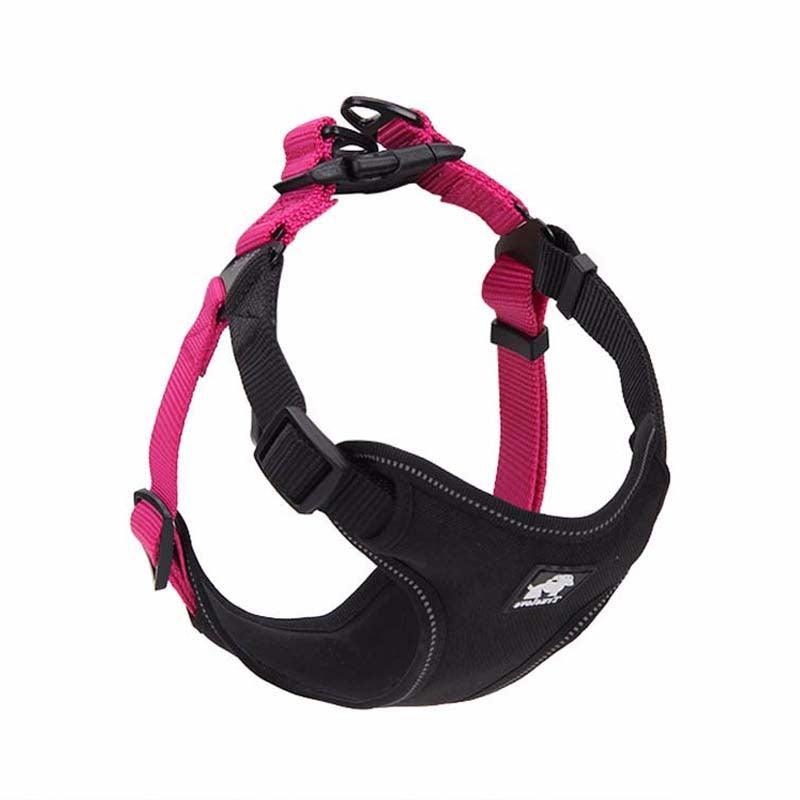 Comfortmesh Dog Leash Collar: Convenient And Stylish Walking Companion For Dogs Of All Sizes - Premium Paws