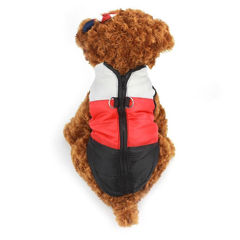 Cozy Striped Pet Jacket With Traction Buckle - Perfect For Autumn And Winter! - Premium Paws