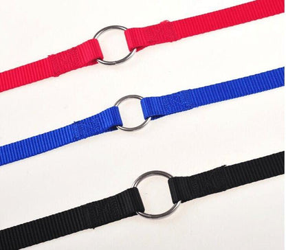 Double Trouble Dog Leash Coupler - Walk Two Dogs With Ease! - Premium Paws