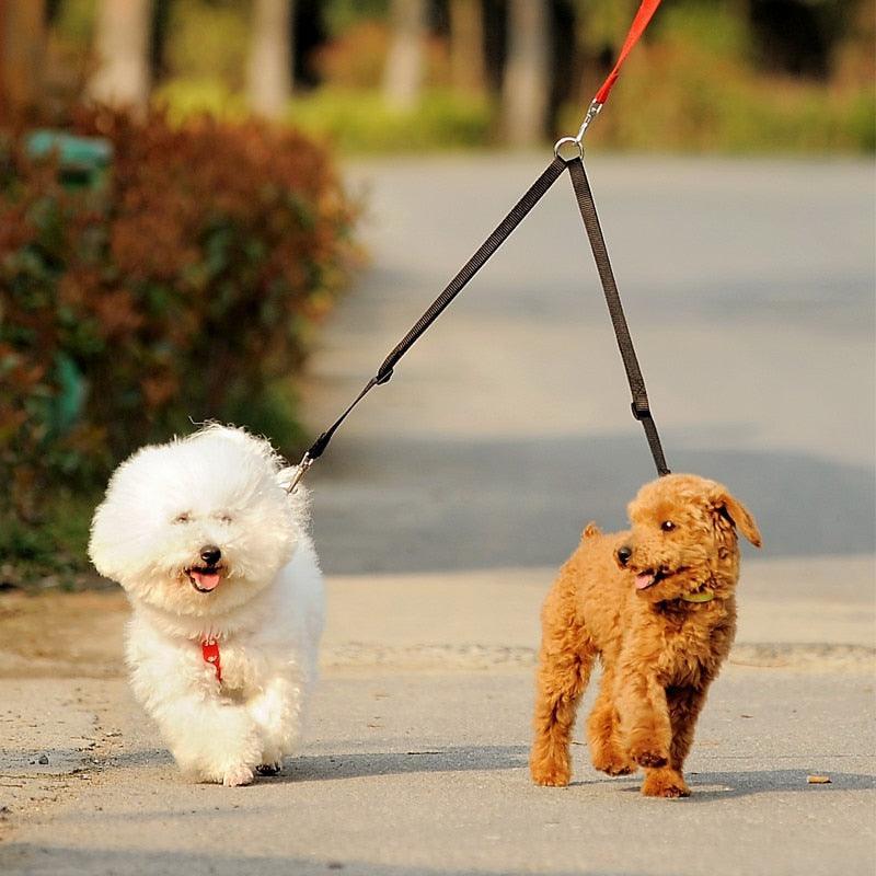 Double Trouble Dog Leash Coupler - Walk Two Dogs With Ease! - Premium Paws