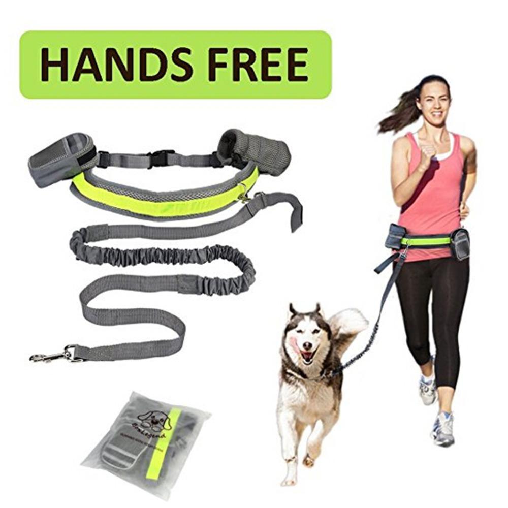 Hands - Free Pet Fitness Set: The Ultimate Companion For Active Dog Owners - Premium Paws