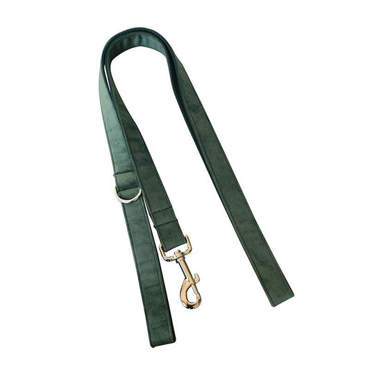 Luxurious Emerald Velvet Dog Collar And Leash Set - Premium Paws