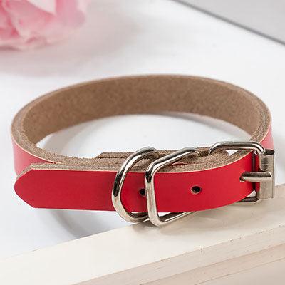 Luxury Leather Dog Collar - Stylish And Durable Pet Chain - Premium Paws