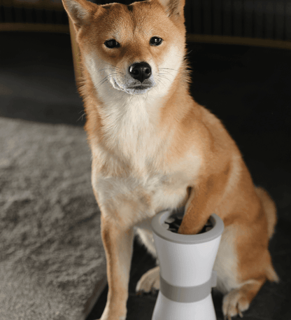Pawfresh: The Ultimate Pet Paw Spa - Premium Paws