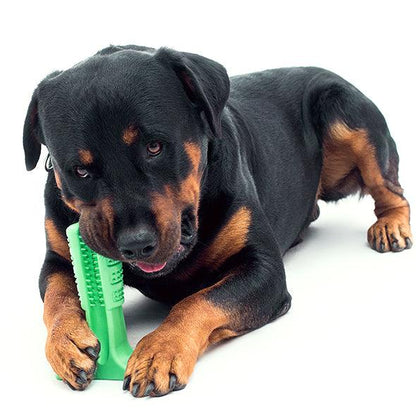 Pet Dental Care Buddy - Premium Paws