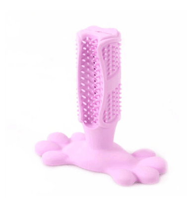 Pet Dental Care Buddy - Premium Paws