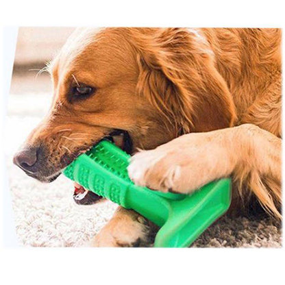 Pet Dental Care Buddy - Premium Paws