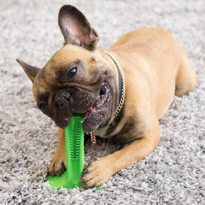 Pet Dental Care Buddy - Premium Paws