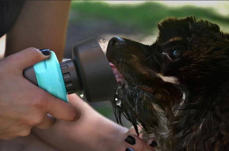 Pet Oasis: Foldable Dog Travel Water Bottle And Dispenser - Premium Paws