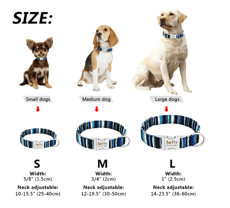 Reflective Wave Point Dog Collar: High Visibility, Adjustable, And Stylish - Premium Paws