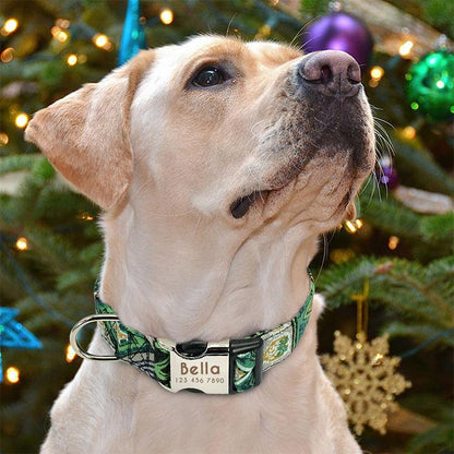 Reflective Wave Point Dog Collar: High Visibility, Adjustable, And Stylish - Premium Paws