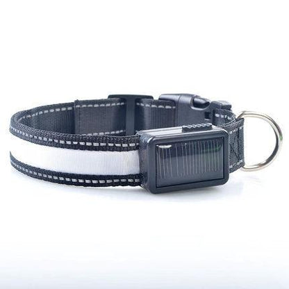 Solarpup Led Reflective Collar: Keep Your Furry Friend Safe And Stylish! - Premium Paws
