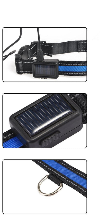 Solarpup Led Reflective Collar: Keep Your Furry Friend Safe And Stylish! - Premium Paws