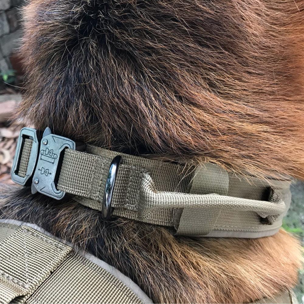 Tactical Nylon Dog Collar With Double Protection - Premium Paws