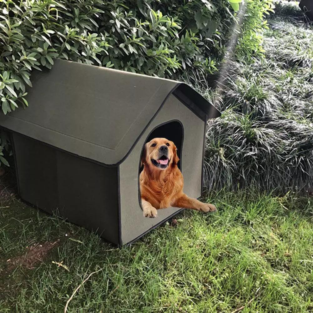 The All - Weather Pet Oasis - Your Furry Friend's Outdoor Sanctuary - Premium Paws