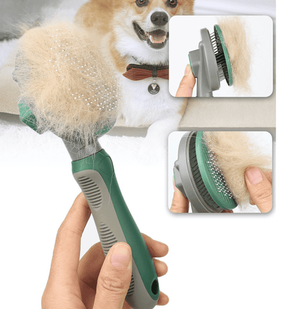 The Hair Whisperer: The Game - Changing Automatic Hair Removal Comb - Premium Paws