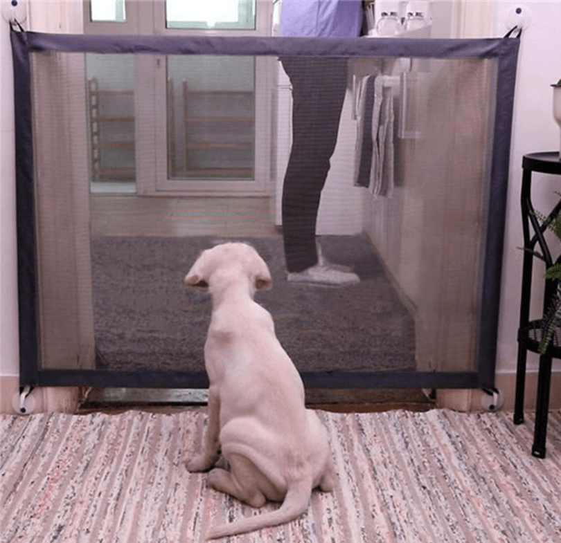 The Petsafe Barrier Buddy - Premium Paws