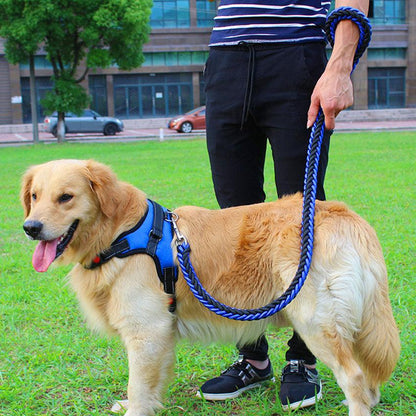 Ultimate Comfort Dog Harness - Premium Paws