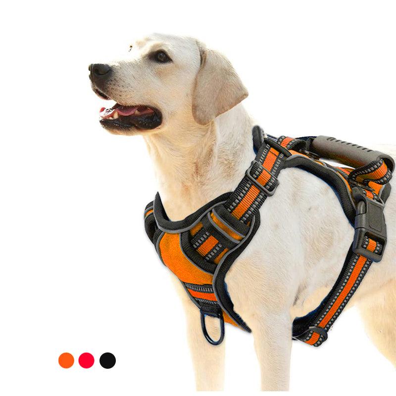 Ultimate Comfort No - Pull Reflective Dog Harness - Premium Paws