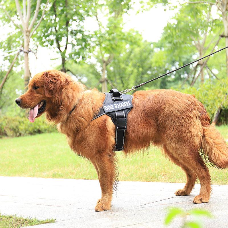 Ultimate Comfort Reflective Pet Chest Strap - Premium Paws